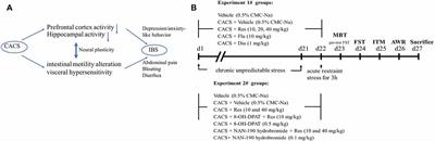 Resveratrol Improves Brain-Gut Axis by Regulation of 5-HT-Dependent Signaling in the Rat Model of Irritable Bowel Syndrome